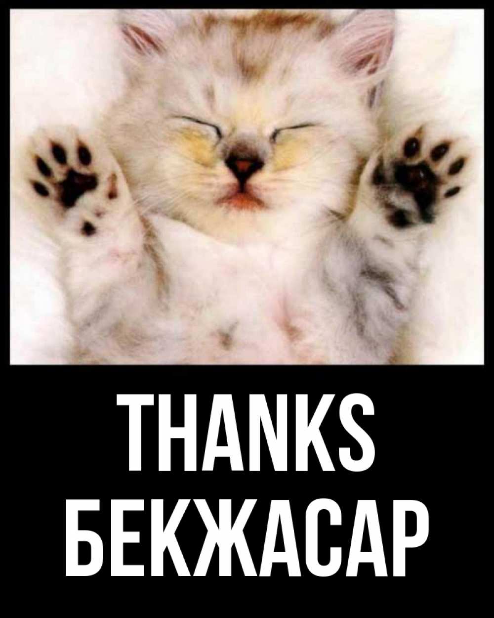 Greetings card с именем, Бекжасар Thanks маленький котенок Greetings with text for free download 