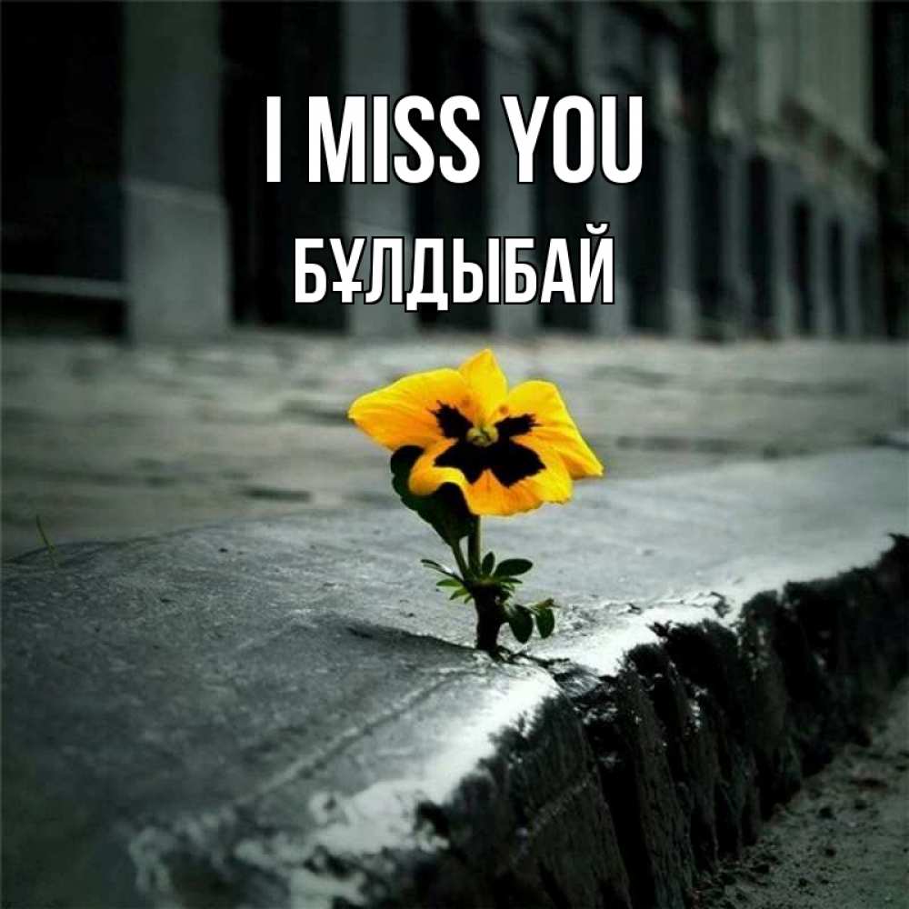 Greetings card с именем, Бұлдыбай I miss you надеюсь будет лучше Greetings with text for free download 