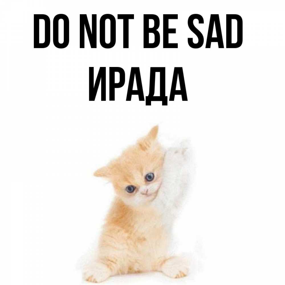 Greetings card с именем, ИРАДА Do not be sad просящий кот Greetings with text for free download 