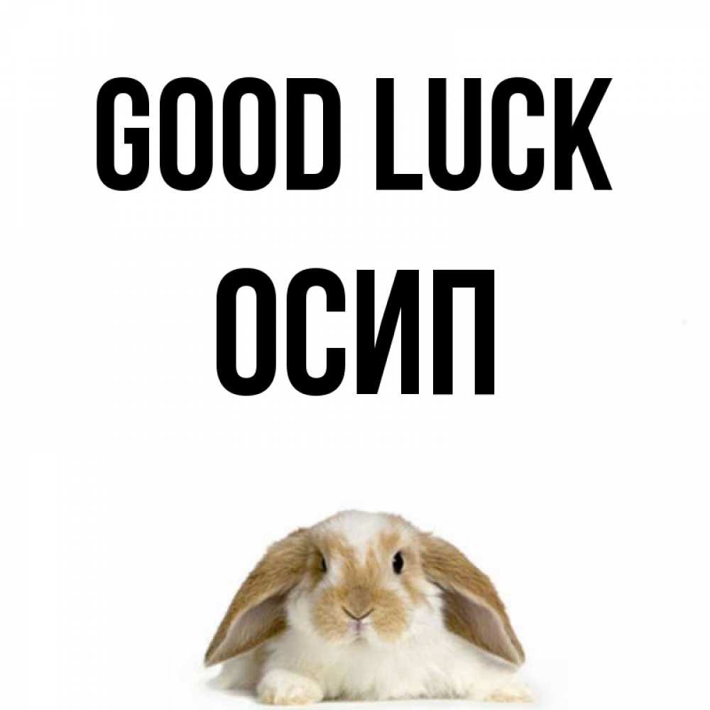 Greetings card с именем, Осип Good luck открытки с произвольным текстом который можно вставить в открытку и создать ее самостоятельно бесплатно онлайн Greetings with text for free download 