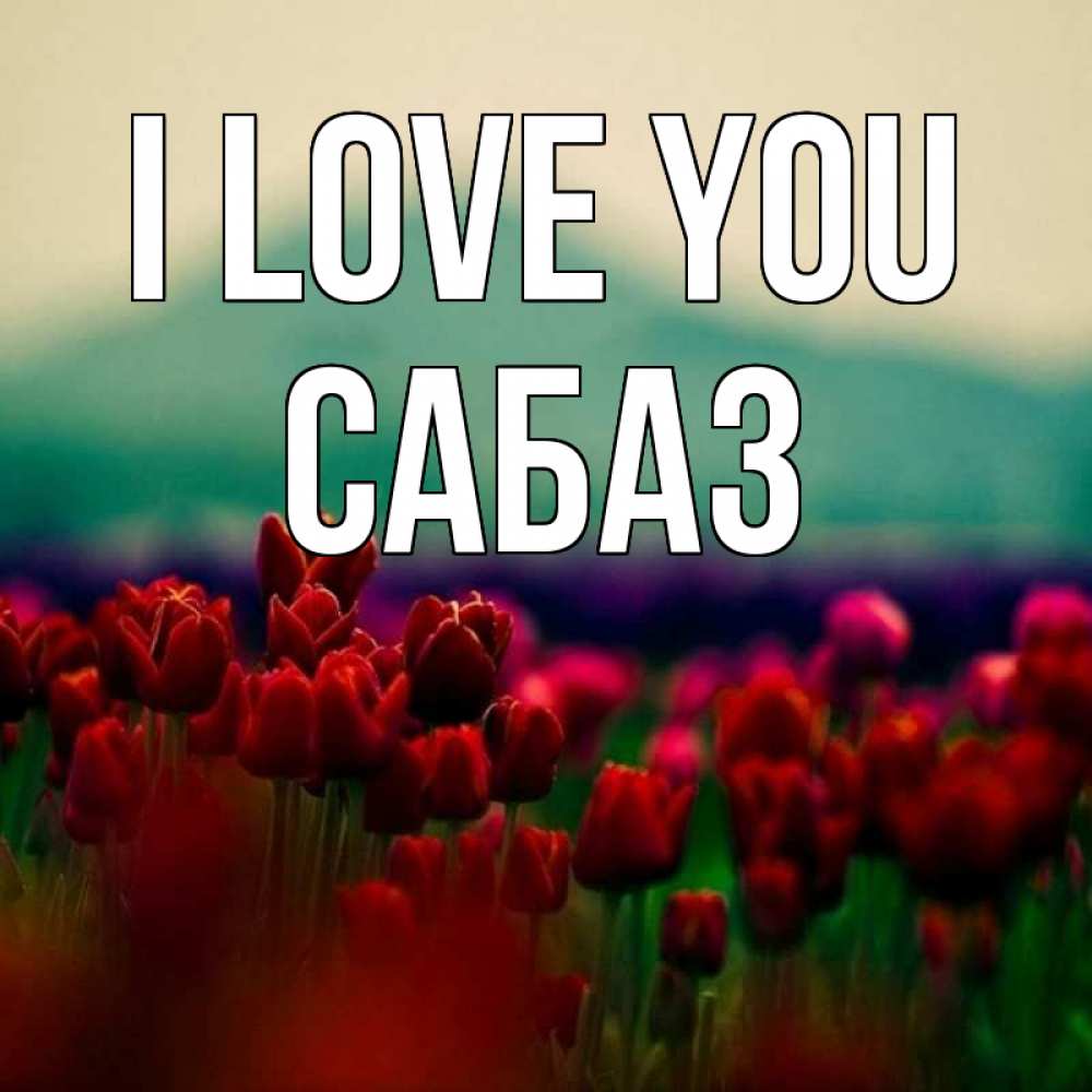Greetings card с именем, САБАЗ I love you тюльпаны 4 Greetings with text for free download 