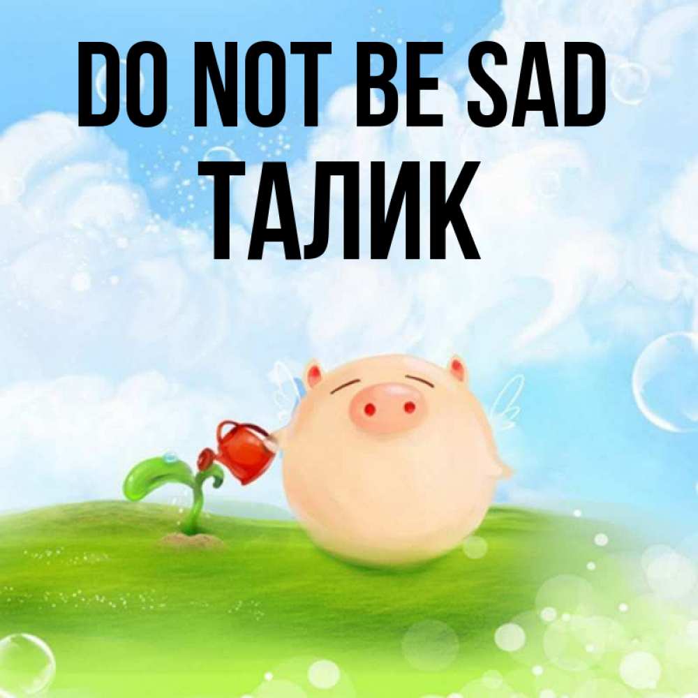Greetings card с именем, Талик Do not be sad поливает цветок порося Greetings with text for free download 
