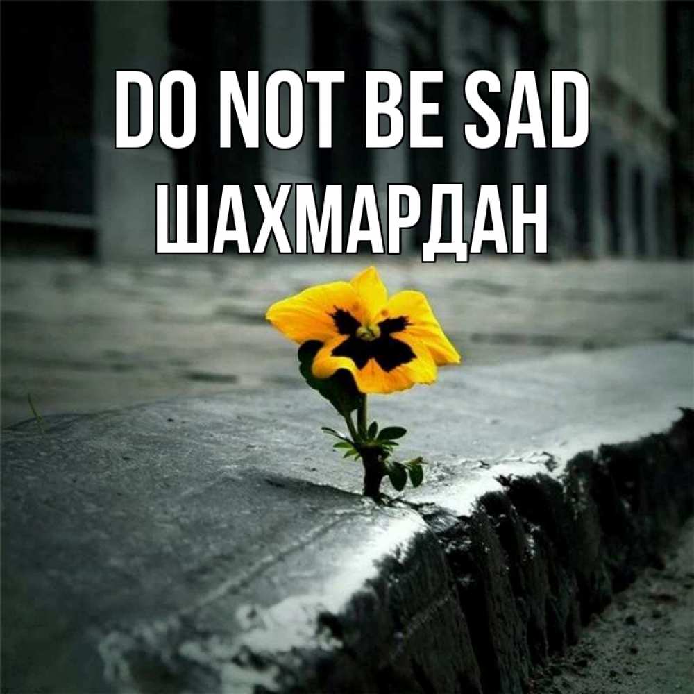 Greetings card с именем, ШАХМАРДАН Do not be sad не сдавайся Greetings with text for free download 