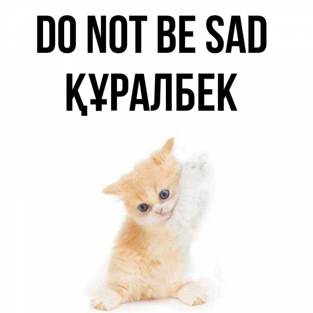Greetings card с именем, ҚҰРАЛБЕК Do not be sad просящий кот Greetings with text for free download 