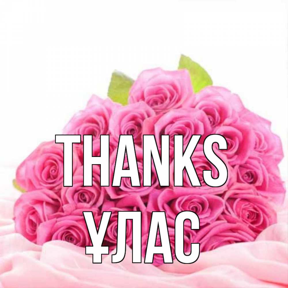 Greetings card с именем, ҰЛАС Thanks розовые розы с подписью Greetings with text for free download 