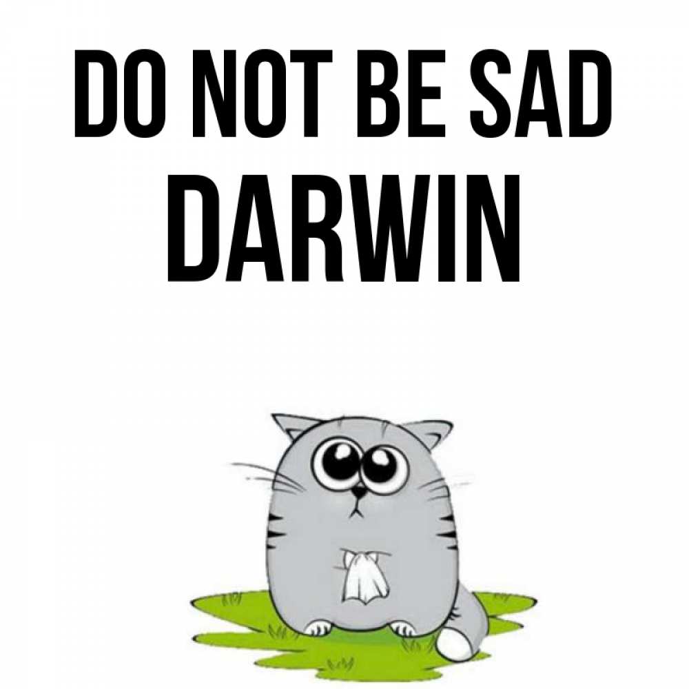 Greetings card с именем, Darwin Do not be sad грустный котяра Greetings with text for free download 