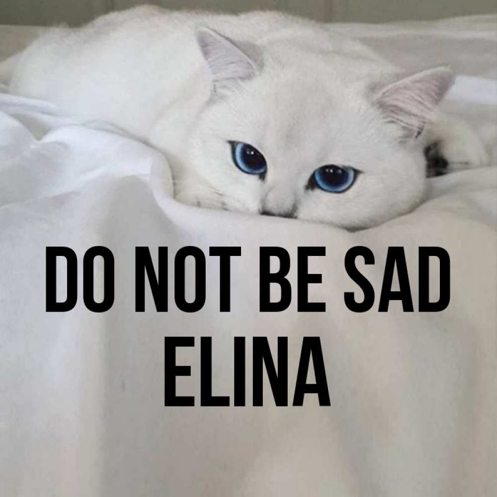 Greetings card с именем, Elina Do not be sad Голубоглазая кошка Greetings with text for free download 
