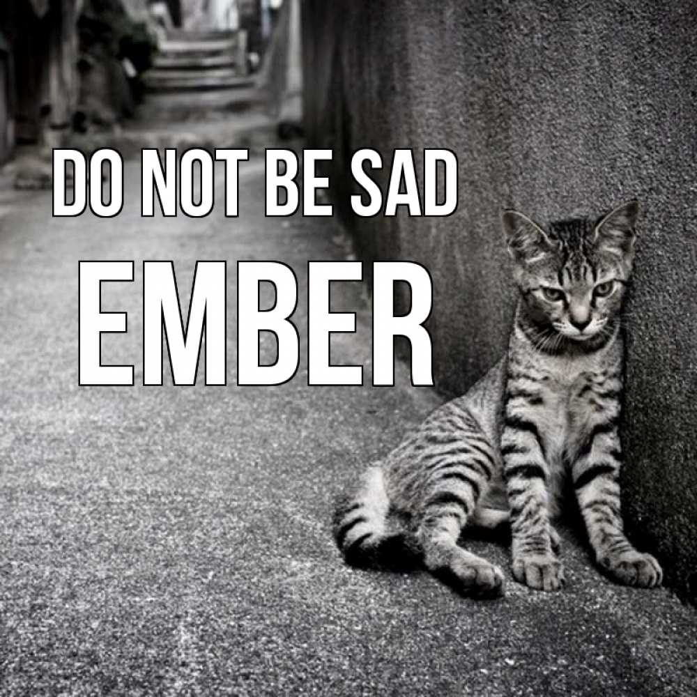 Greetings card с именем, Ember Do not be sad скучающий котик Greetings with text for free download 
