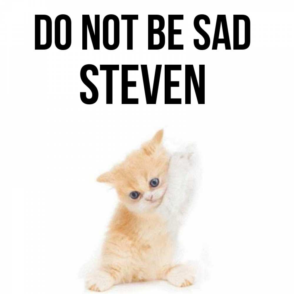 Greetings card с именем, Steven Do not be sad просящий кот Greetings with text for free download 