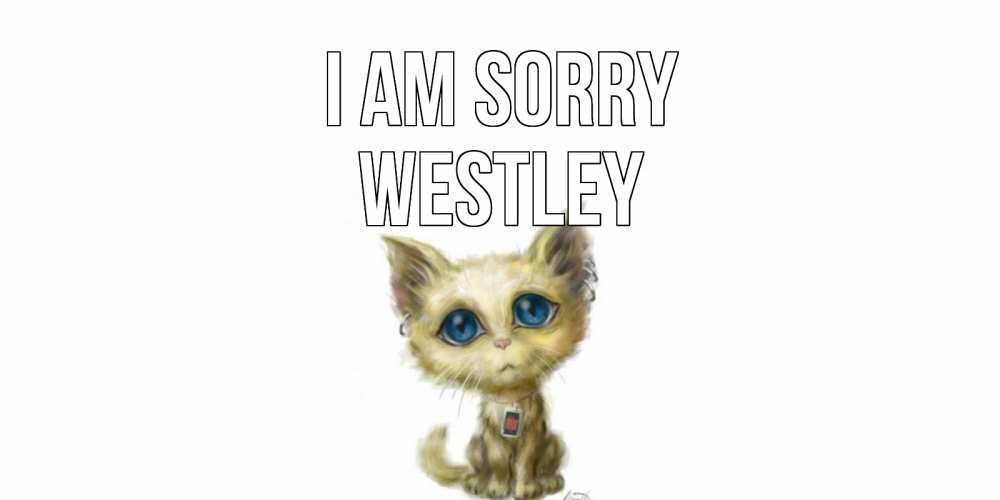 Greetings card с именем, Westley I am sorry прости меня открытка с котиком Greetings with text for free download 