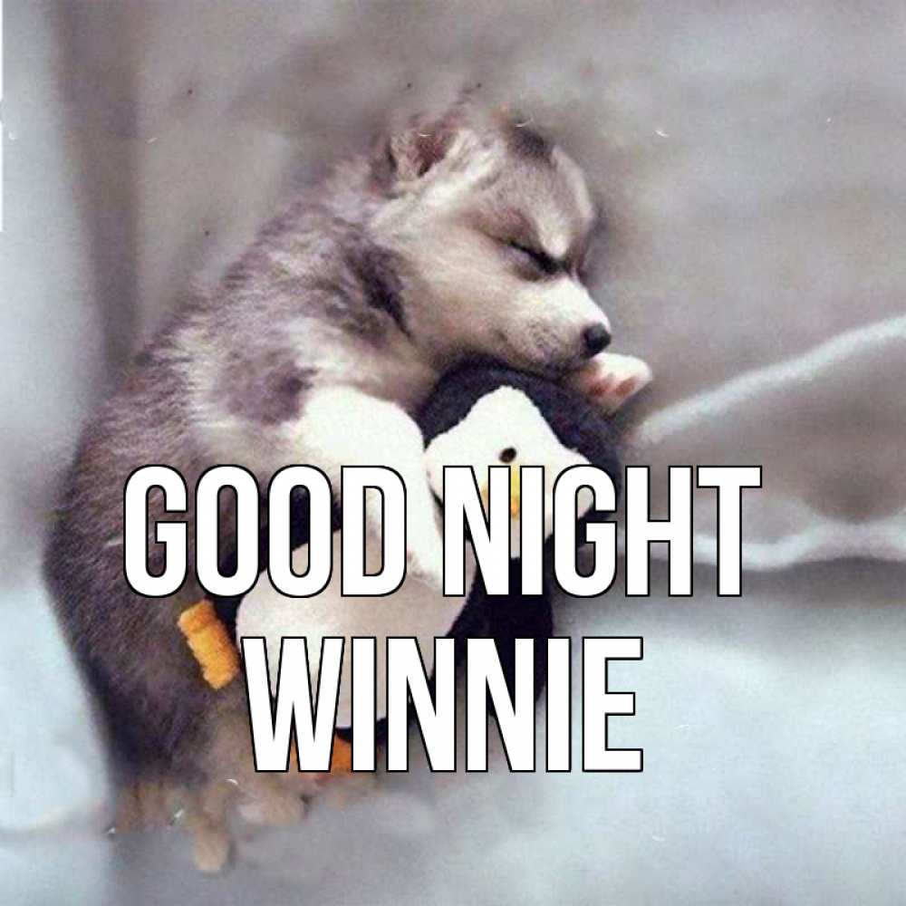 Greetings card с именем, Winnie Good night обнимашки щенка и пингвина Greetings with text for free download 