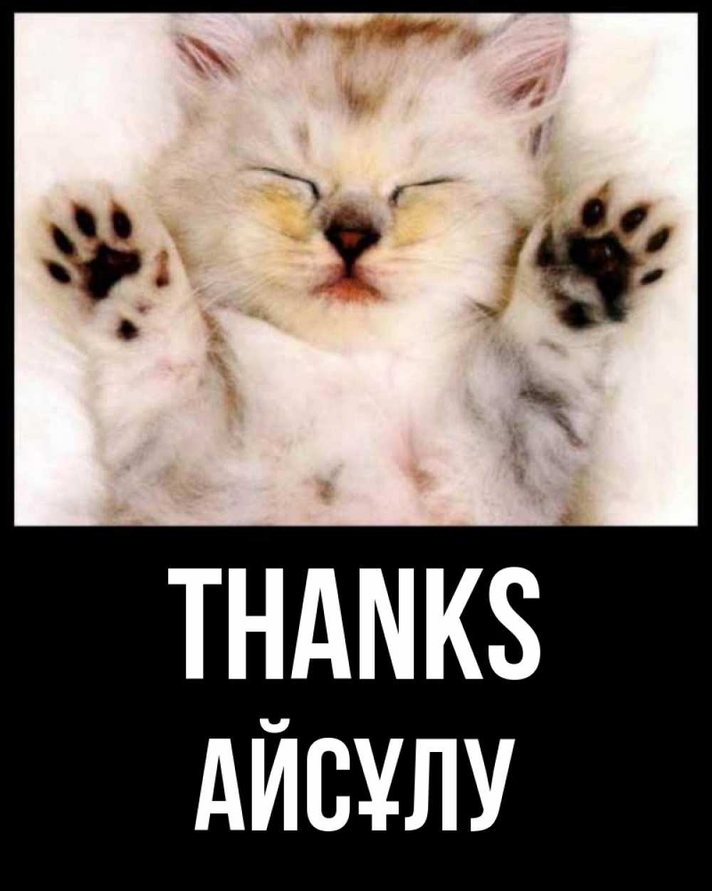 Greetings card с именем, АЙСҰЛУ Thanks маленький котенок Greetings with text for free download 