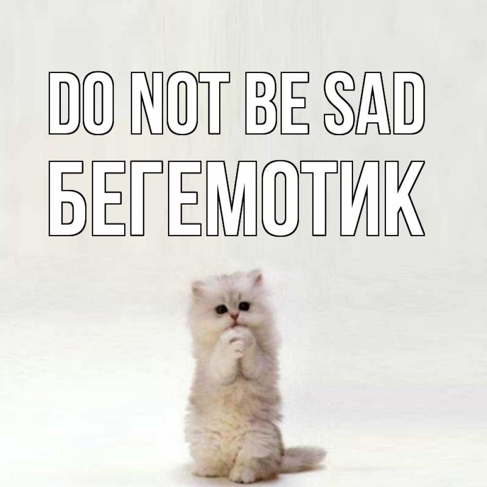 Greetings card с именем, Бегемотик Do not be sad грустный кот Greetings with text for free download 