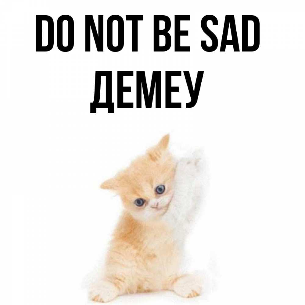 Greetings card с именем, Демеу Do not be sad просящий кот Greetings with text for free download 