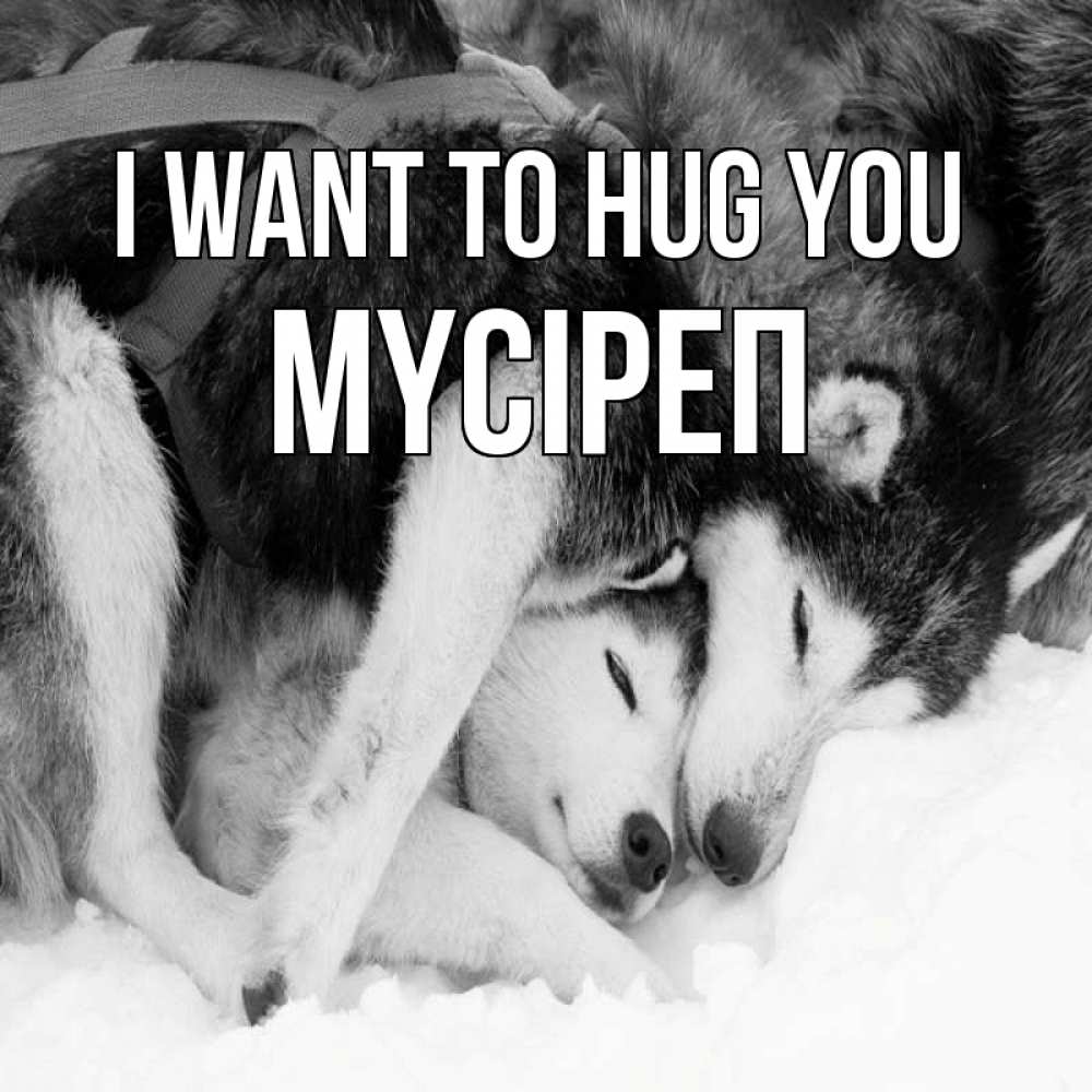 Greetings card с именем, МҮСІРЕП I want to hug you собачки в упряжке Greetings with text for free download 