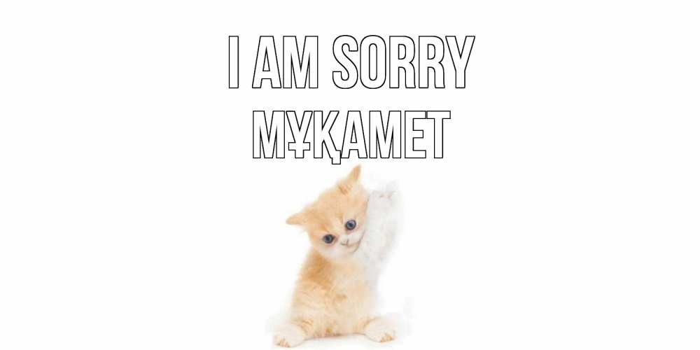 Greetings card с именем, МҰҚАМЕТ I am sorry кот Greetings with text for free download 
