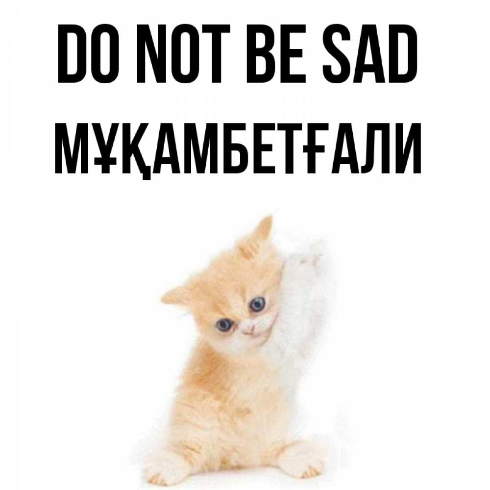Greetings card с именем, Мұқамбетғали Do not be sad просящий кот Greetings with text for free download 