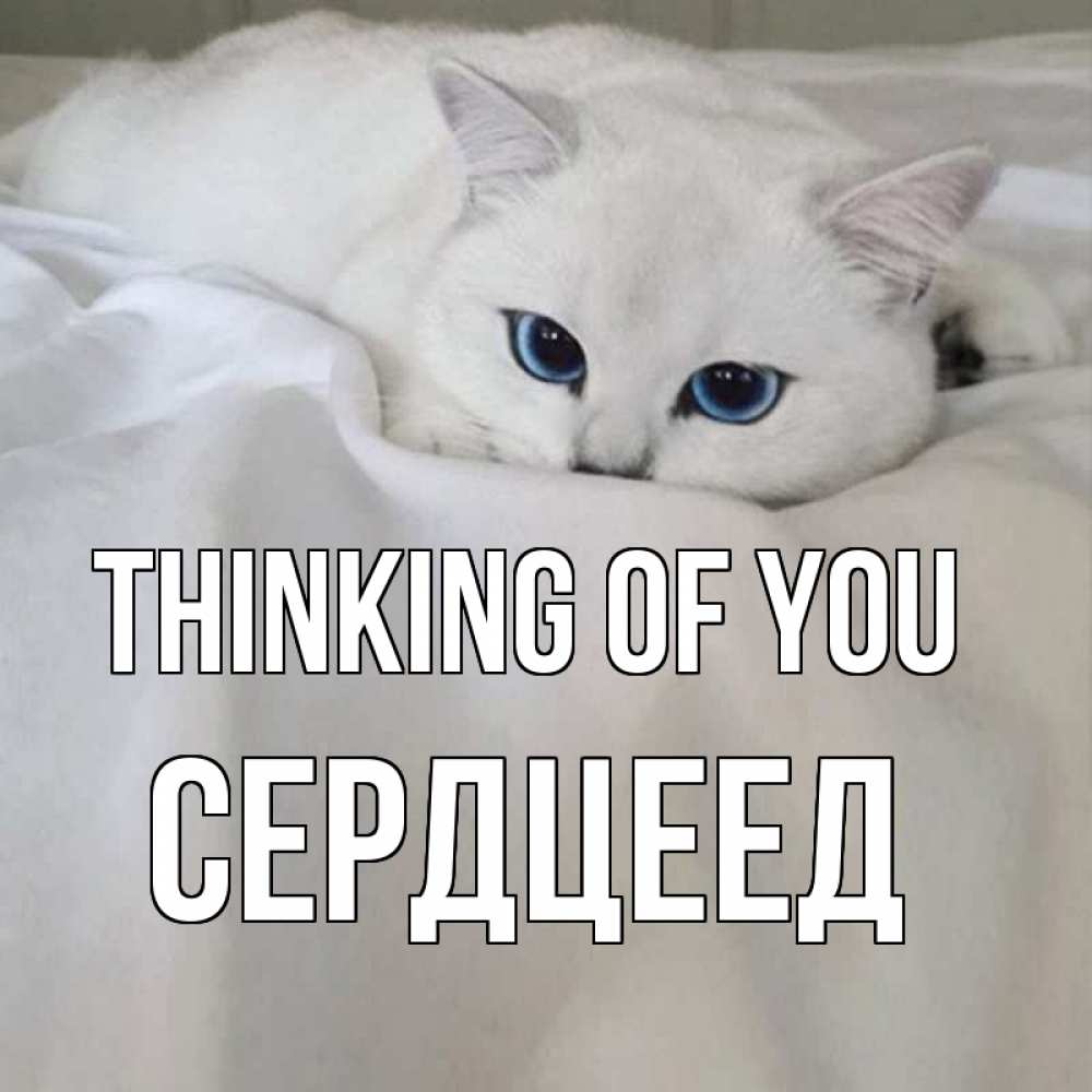 Greetings card с именем, Сердцеед Thinking of you я очень по тебе скучаю и тоскую Greetings with text for free download 