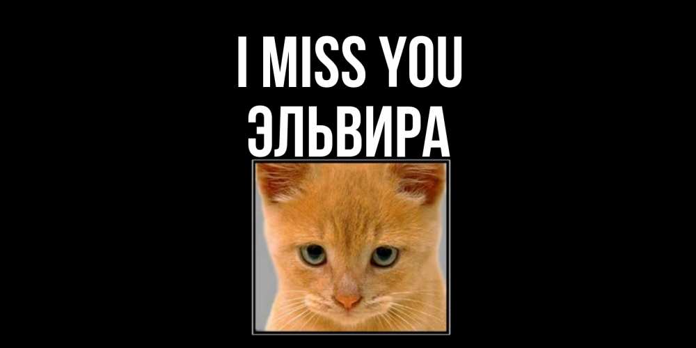 Greetings card с именем, Эльвира I miss you открытки рыжий котенок скучает по тебе Greetings with text for free download 
