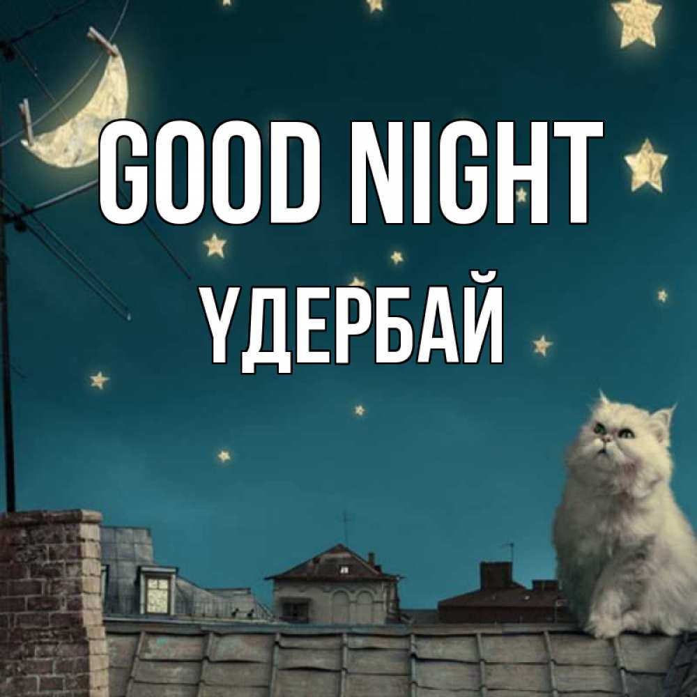 Greetings card с именем, ҮДЕРБАЙ Good night белый кот сидит на крыше Greetings with text for free download 