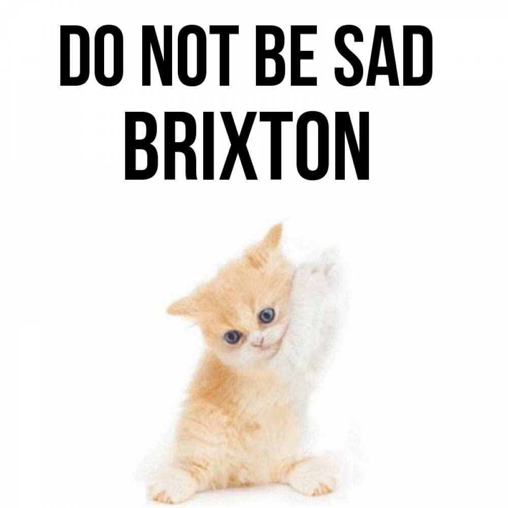 Greetings card с именем, Brixton Do not be sad просящий кот Greetings with text for free download 