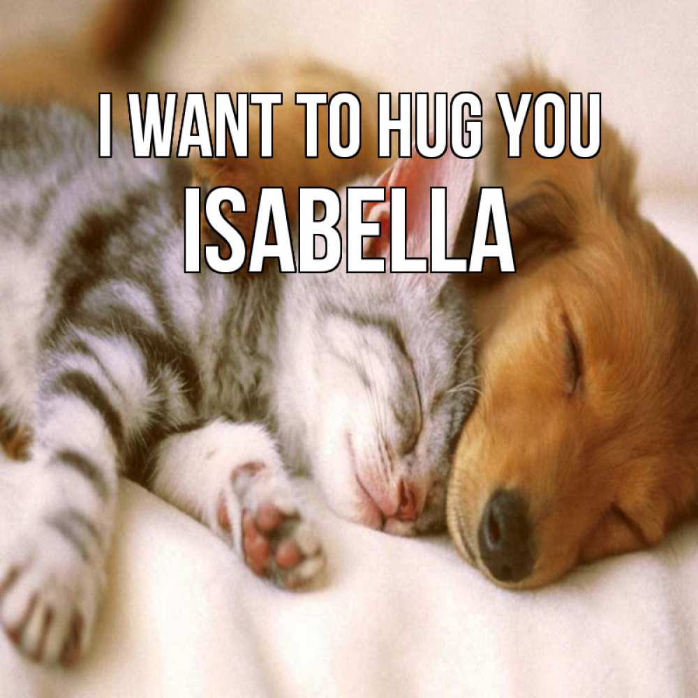 Greetings card с именем, Isabella I want to hug you пес и котенок Greetings with text for free download 