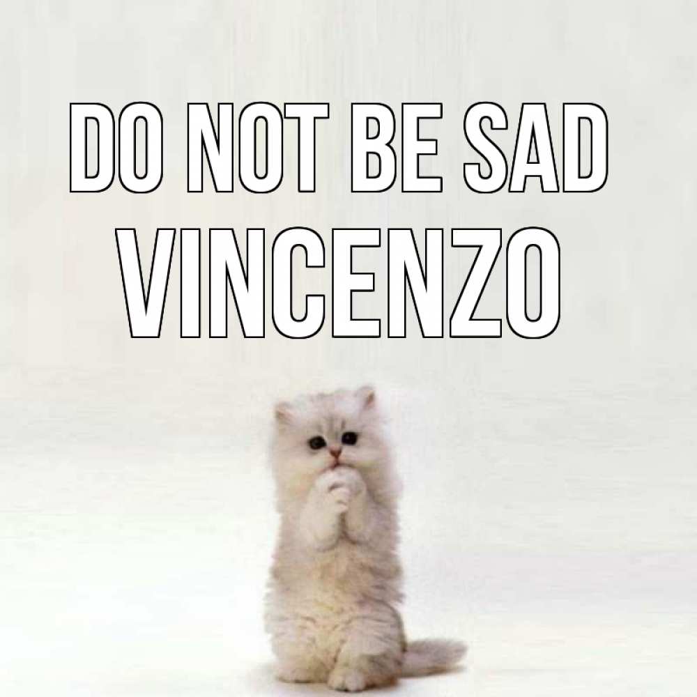 Greetings card с именем, Vincenzo Do not be sad грустный кот Greetings with text for free download 