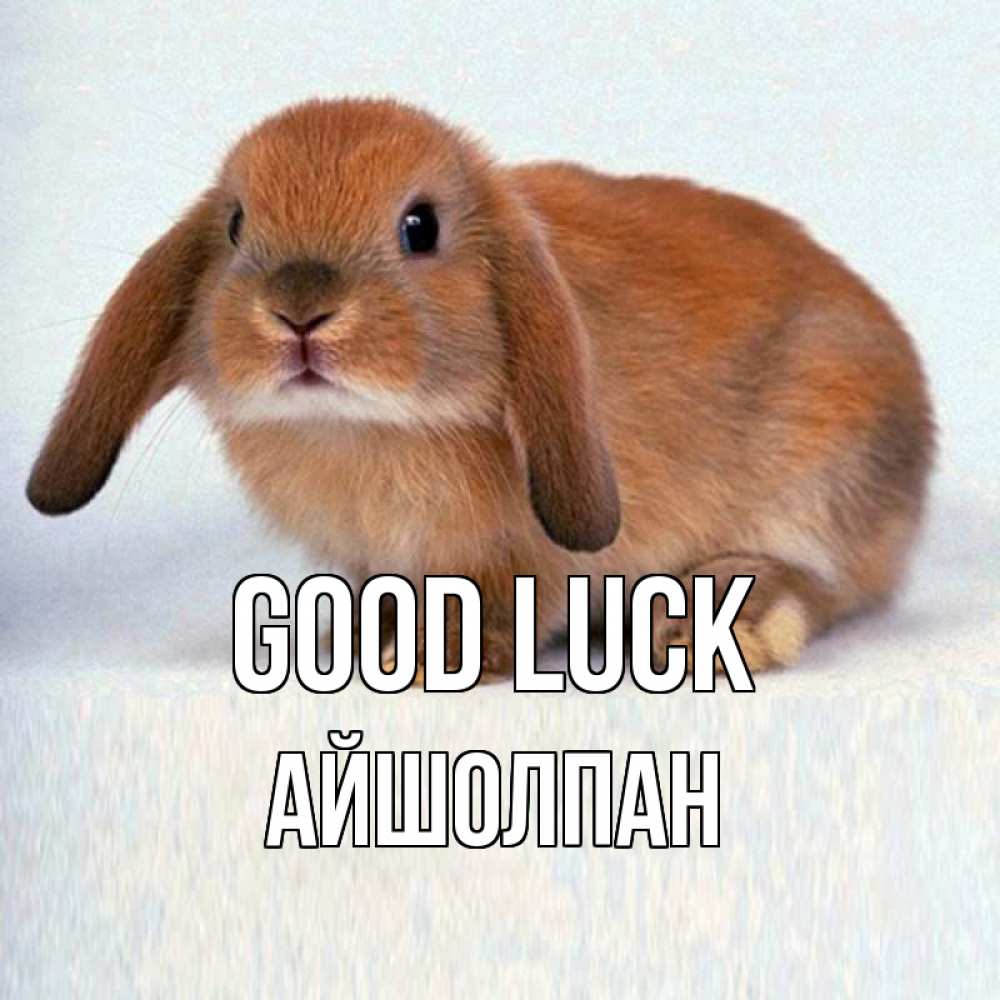 Greetings card с именем, АЙШОЛПАН Good luck вставить текст в открытку по выбору Greetings with text for free download 