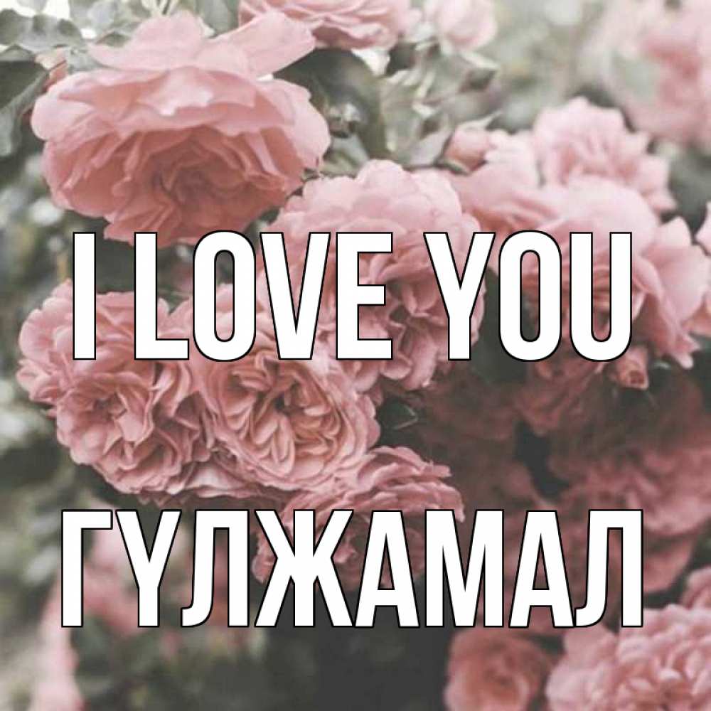 Greetings card с именем, ГҮЛЖАМАЛ I love you розы 3 Greetings with text for free download 