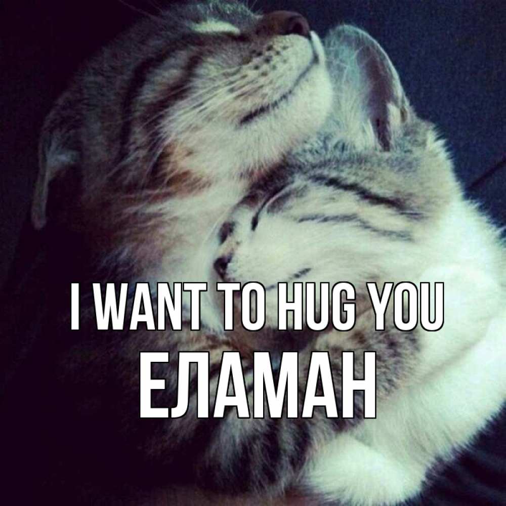 Greetings card с именем, Еламан I want to hug you полосатики Greetings with text for free download 