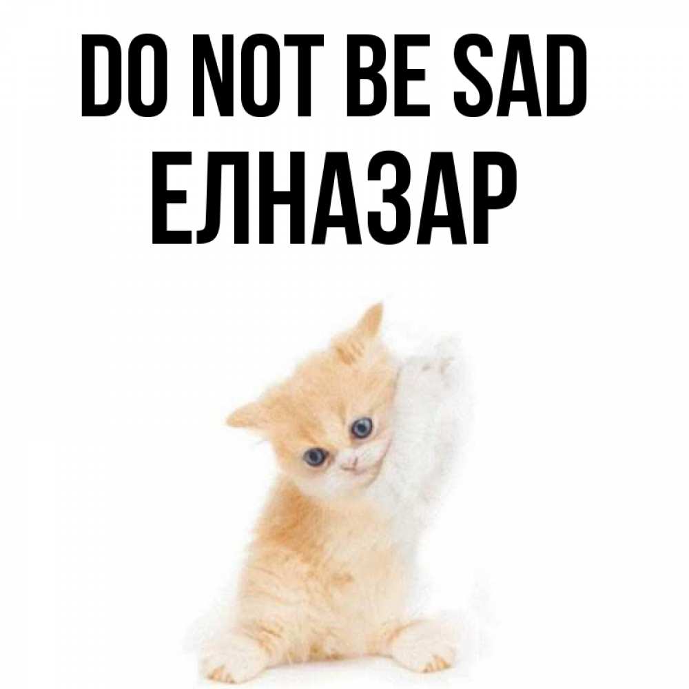 Greetings card с именем, Елназар Do not be sad просящий кот Greetings with text for free download 