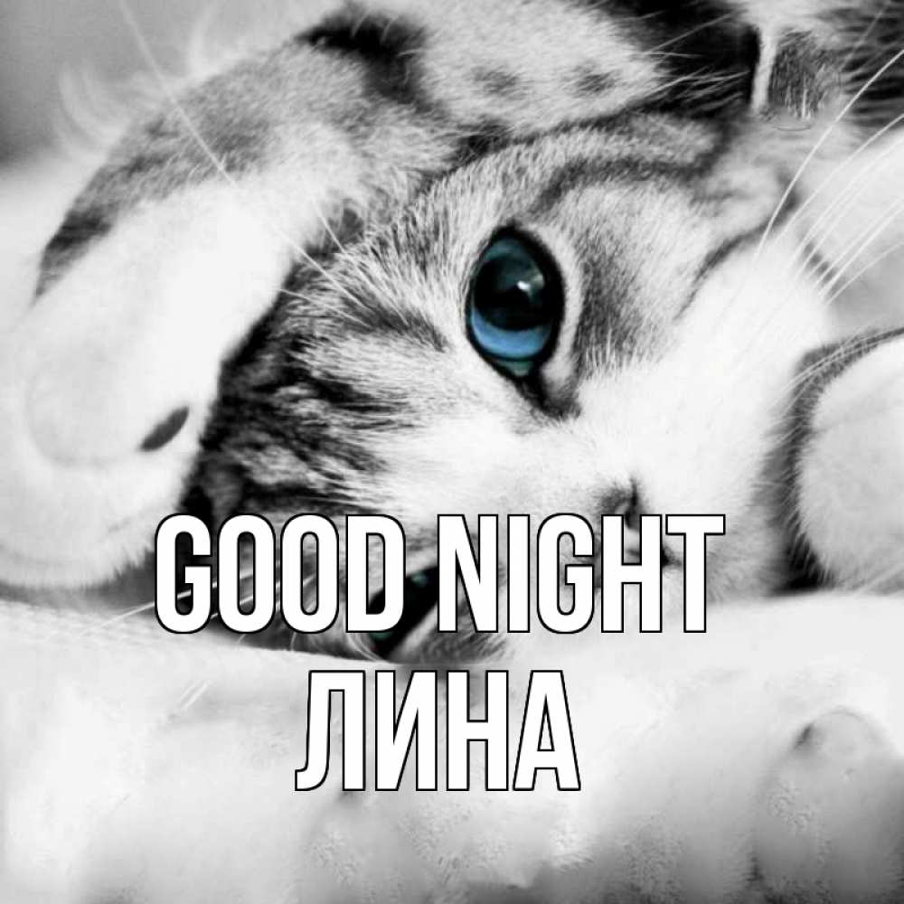 Greetings card с именем, Лина Good night кот устал Greetings with text for free download 