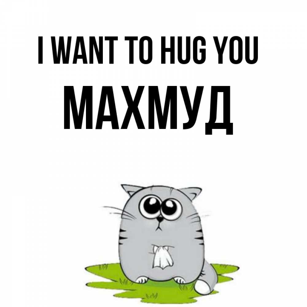 Greetings card с именем, Махмуд I want to hug you котик теребит платочек сидя на травке Greetings with text for free download 