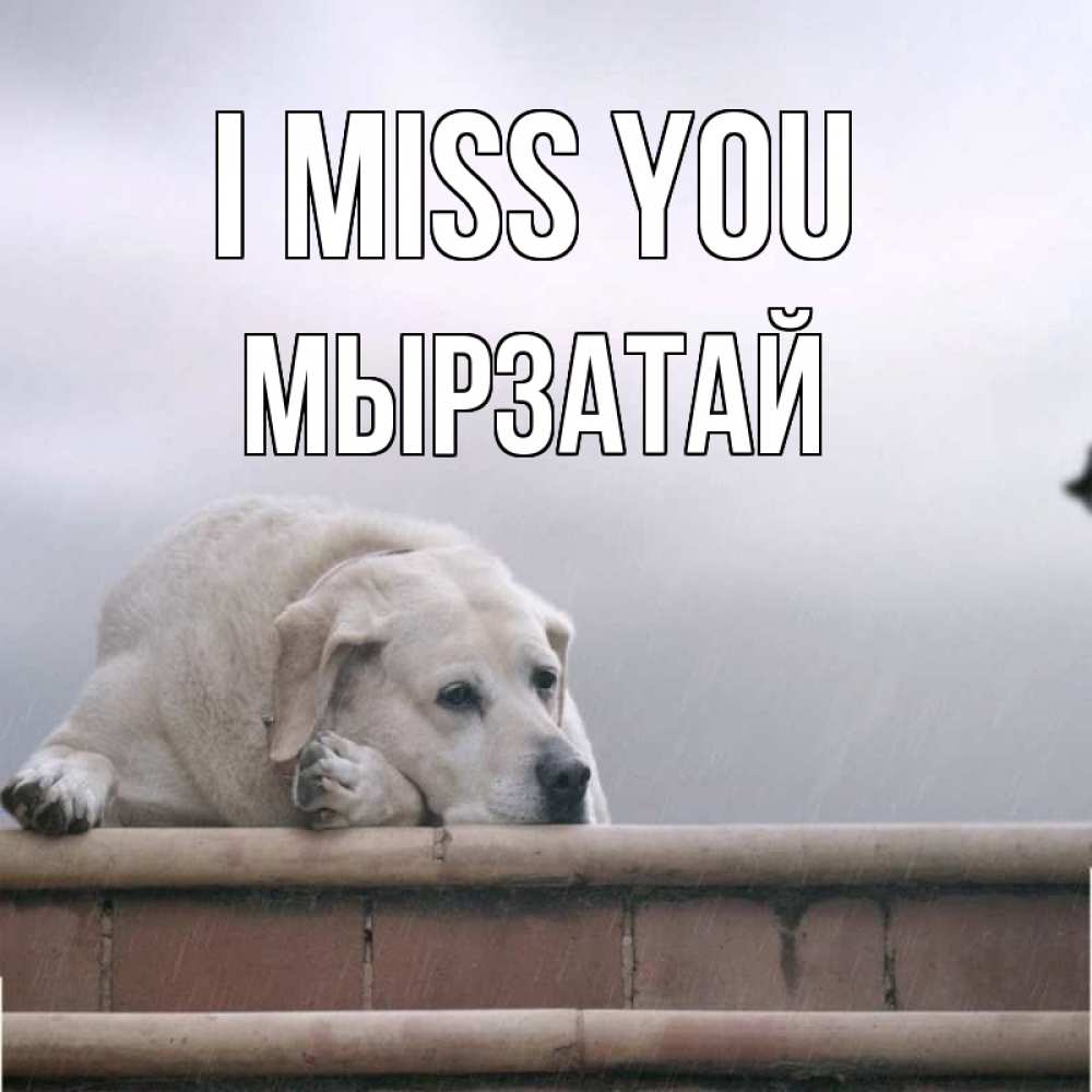 Greetings card с именем, Мырзатай I miss you ждет Greetings with text for free download 