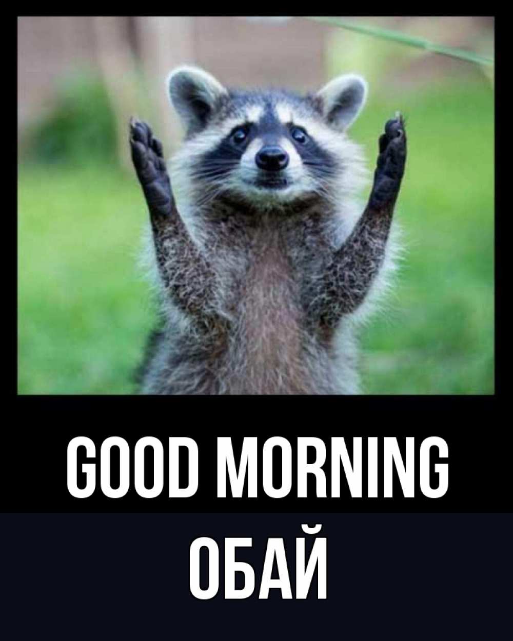 Greetings card с именем, ОБАЙ Good morning хорошее настроение утречком Greetings with text for free download 