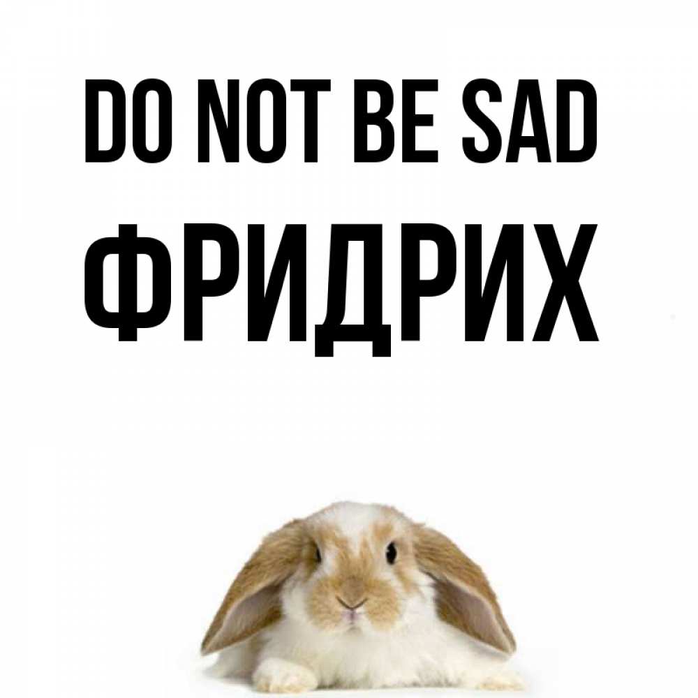 Greetings card с именем, Фридрих Do not be sad коричнево белый заяц с большими ушками Greetings with text for free download 