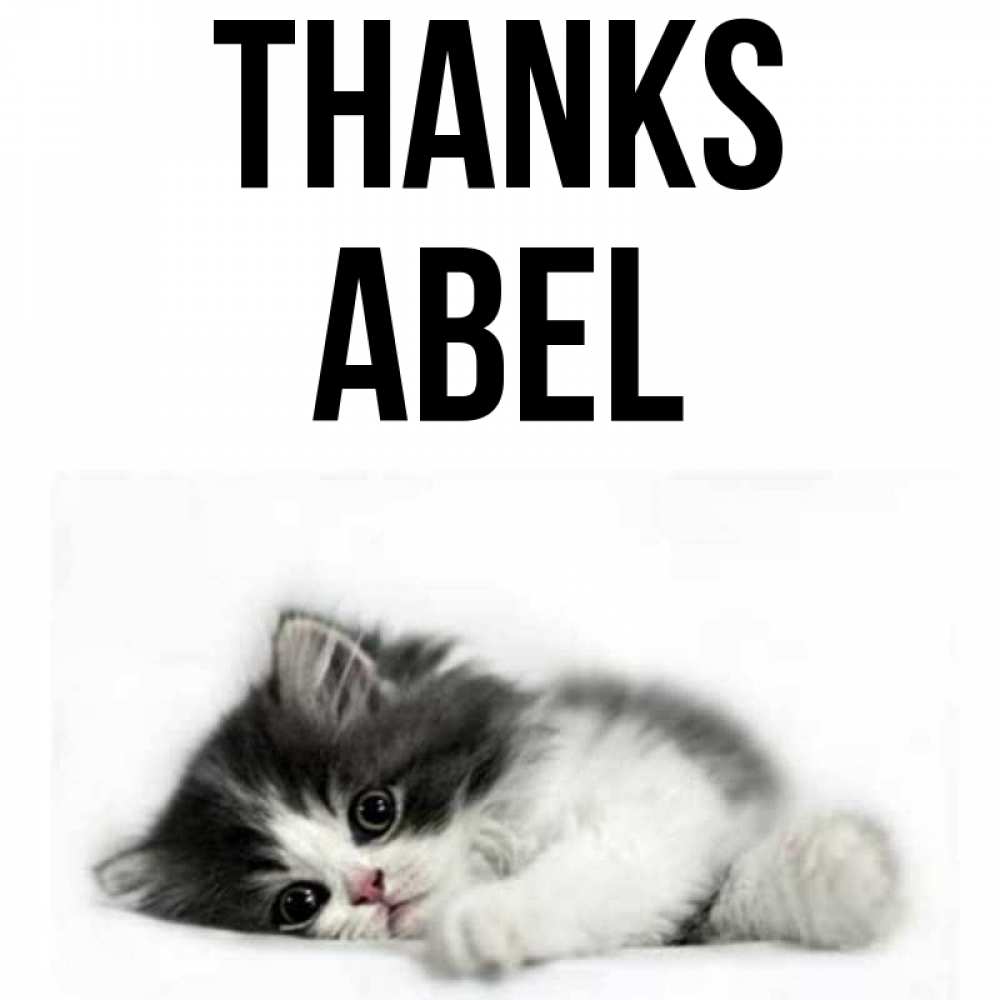 Greetings card с именем, Abel Thanks черный и белый кот Greetings with text for free download 