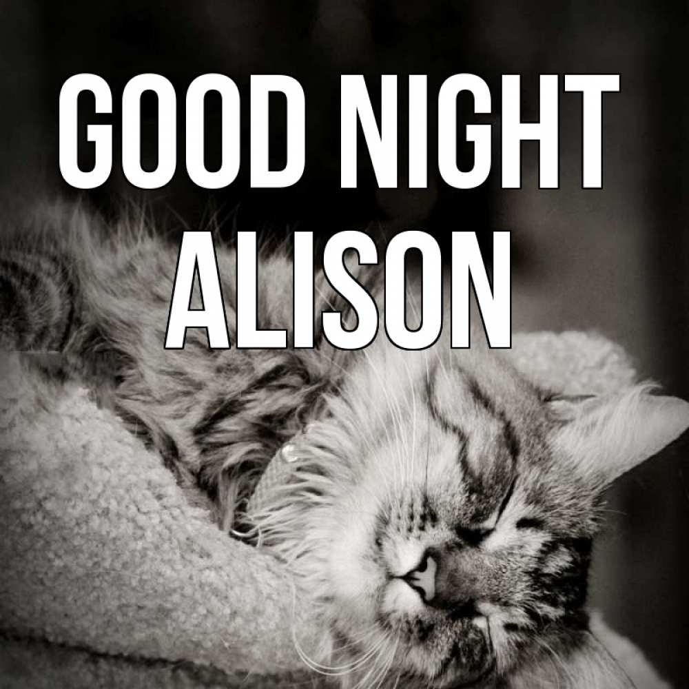 Greetings card с именем, Alison Good night котярик пушистый Greetings with text for free download 