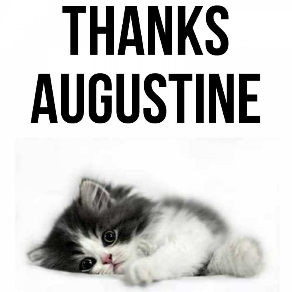 Greetings card с именем, Augustine Thanks черный и белый кот Greetings with text for free download 
