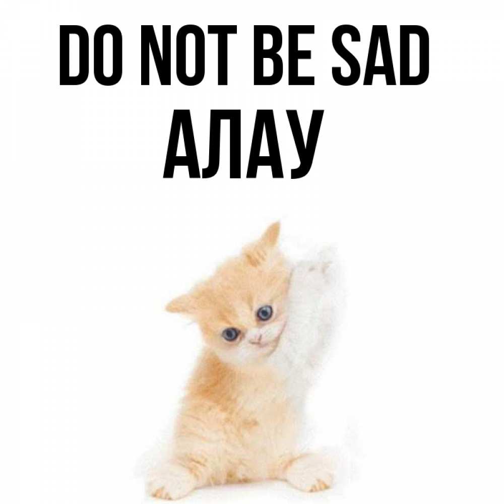 Greetings card с именем, Алау Do not be sad просящий кот Greetings with text for free download 