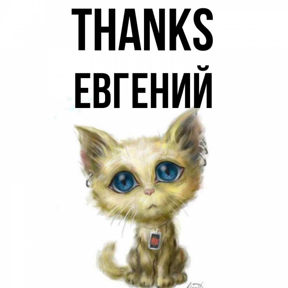 Greetings card с именем, Евгений Thanks рисованный кот благодарит вас Greetings with text for free download 
