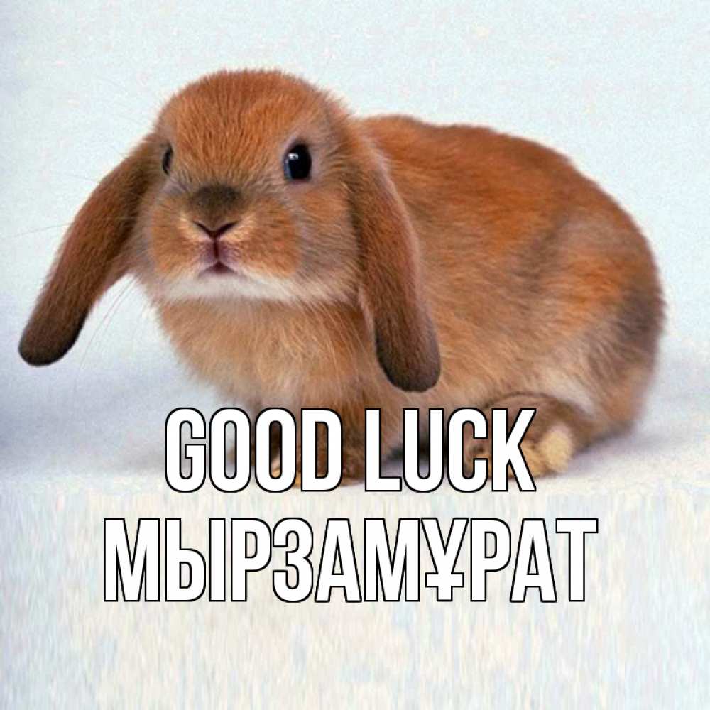 Greetings card с именем, Мырзамұрат Good luck вставить текст в открытку по выбору Greetings with text for free download 