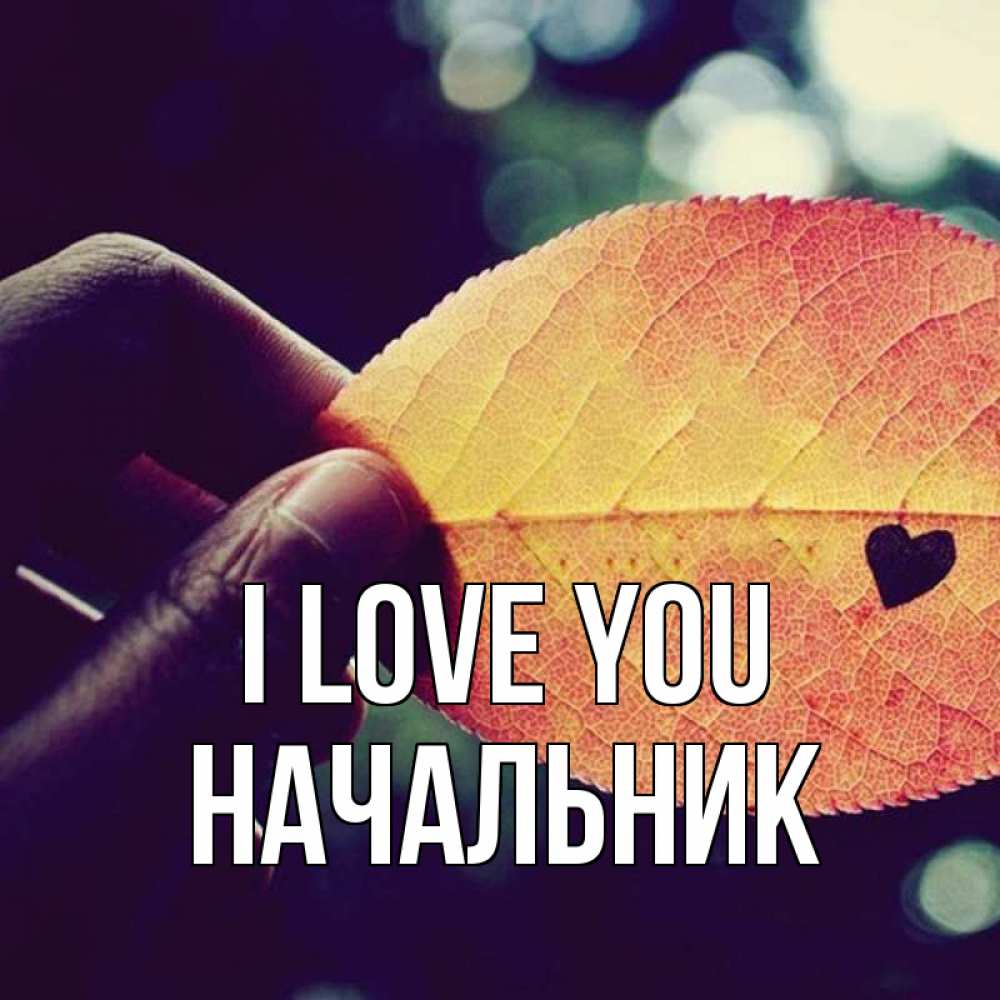 Greetings card с именем, Начальник I love you держу лист Greetings with text for free download 