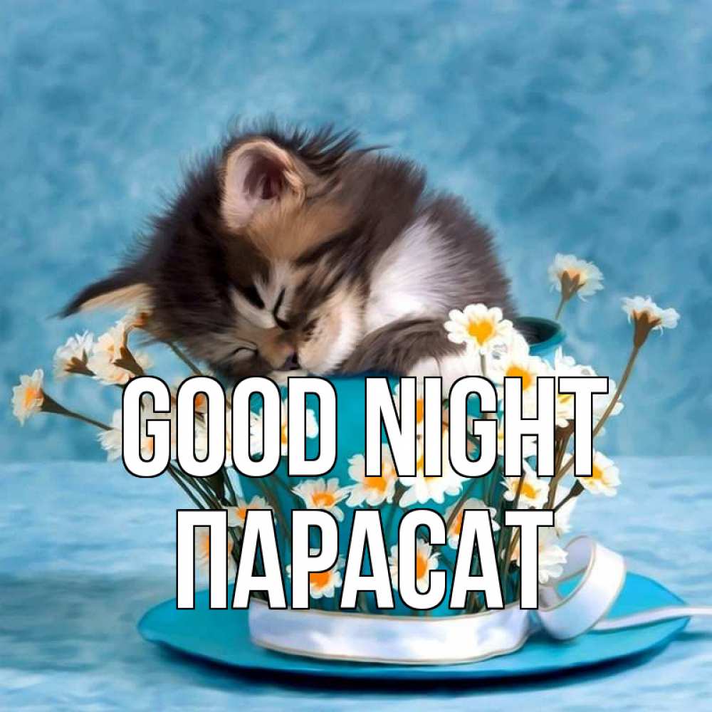 Greetings card с именем, ПАРАСАТ Good night котенок спит в кружке с блюдцем Greetings with text for free download 