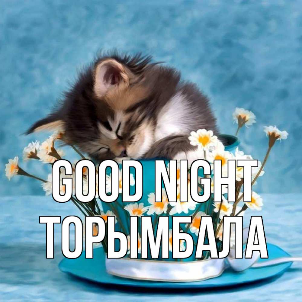 Greetings card с именем, ТОРЫМБАЛА Good night котенок спит в кружке с блюдцем Greetings with text for free download 
