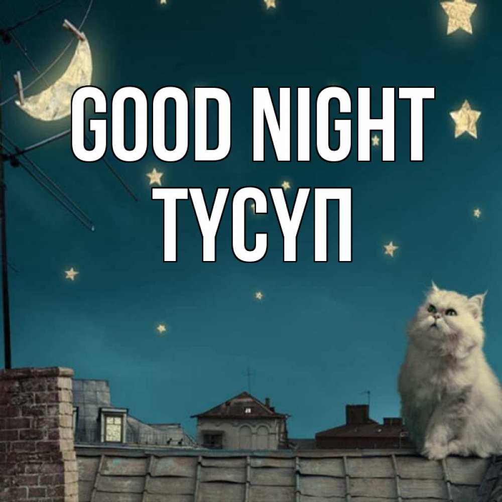 Greetings card с именем, ТҮСҮП Good night белый кот сидит на крыше Greetings with text for free download 