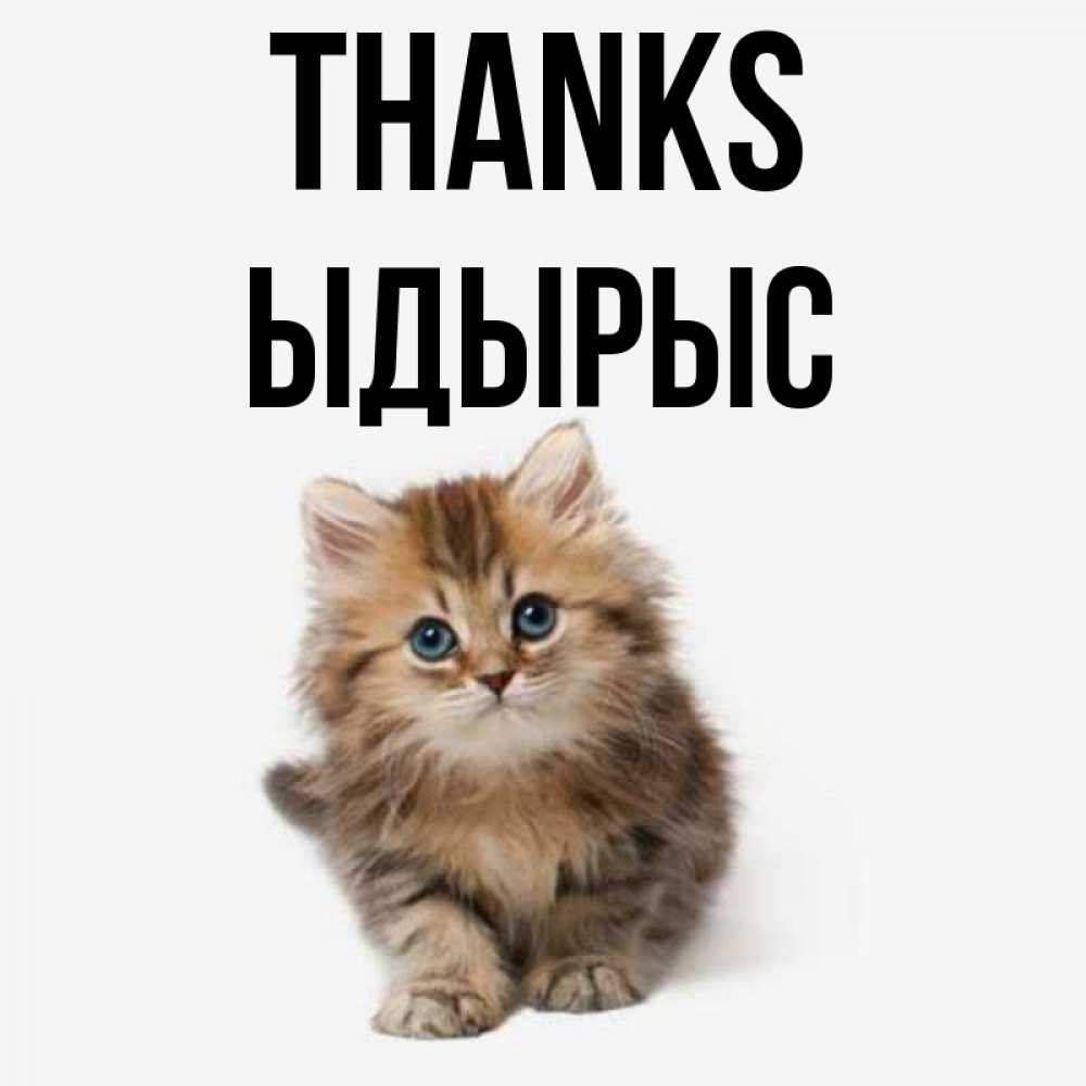 Greetings card с именем, ЫДЫРЫС Thanks пушистый котик Greetings with text for free download 