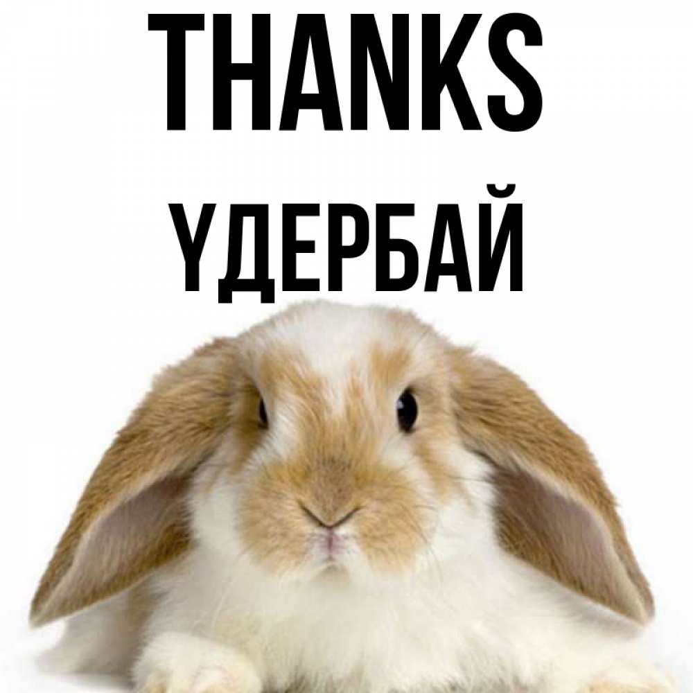 Greetings card с именем, ҮДЕРБАЙ Thanks коричнево белый заяц Greetings with text for free download 