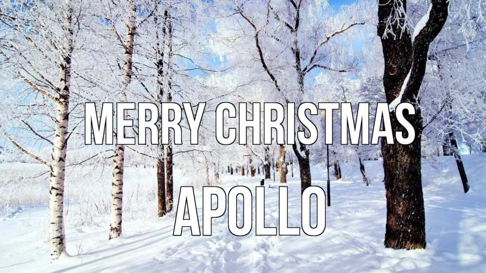 Greetings card с именем, Apollo Merry Christmas зимний лес Greetings with text for free download 