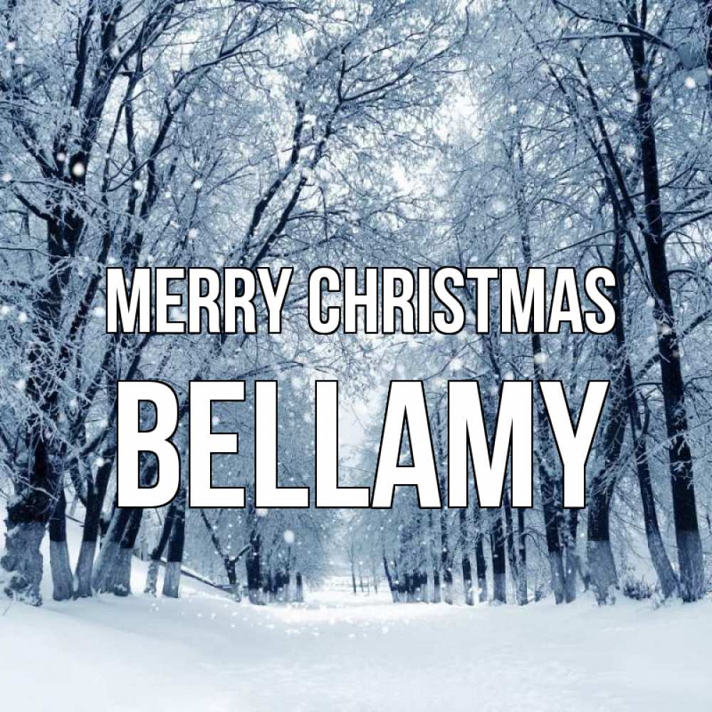 Greetings card с именем, Bellamy Merry Christmas снег, лес, парк Greetings with text for free download 